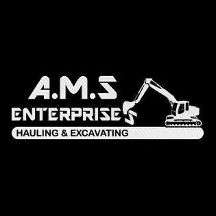 AMS Enterprises logo